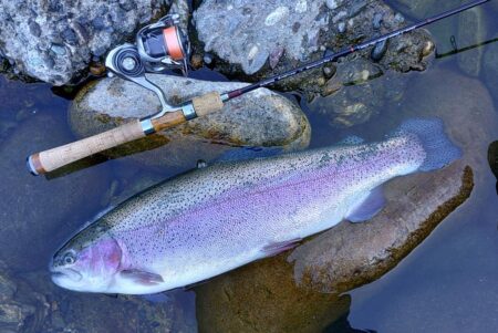 日曜の天竜川ルアーフライテンカラ専用区